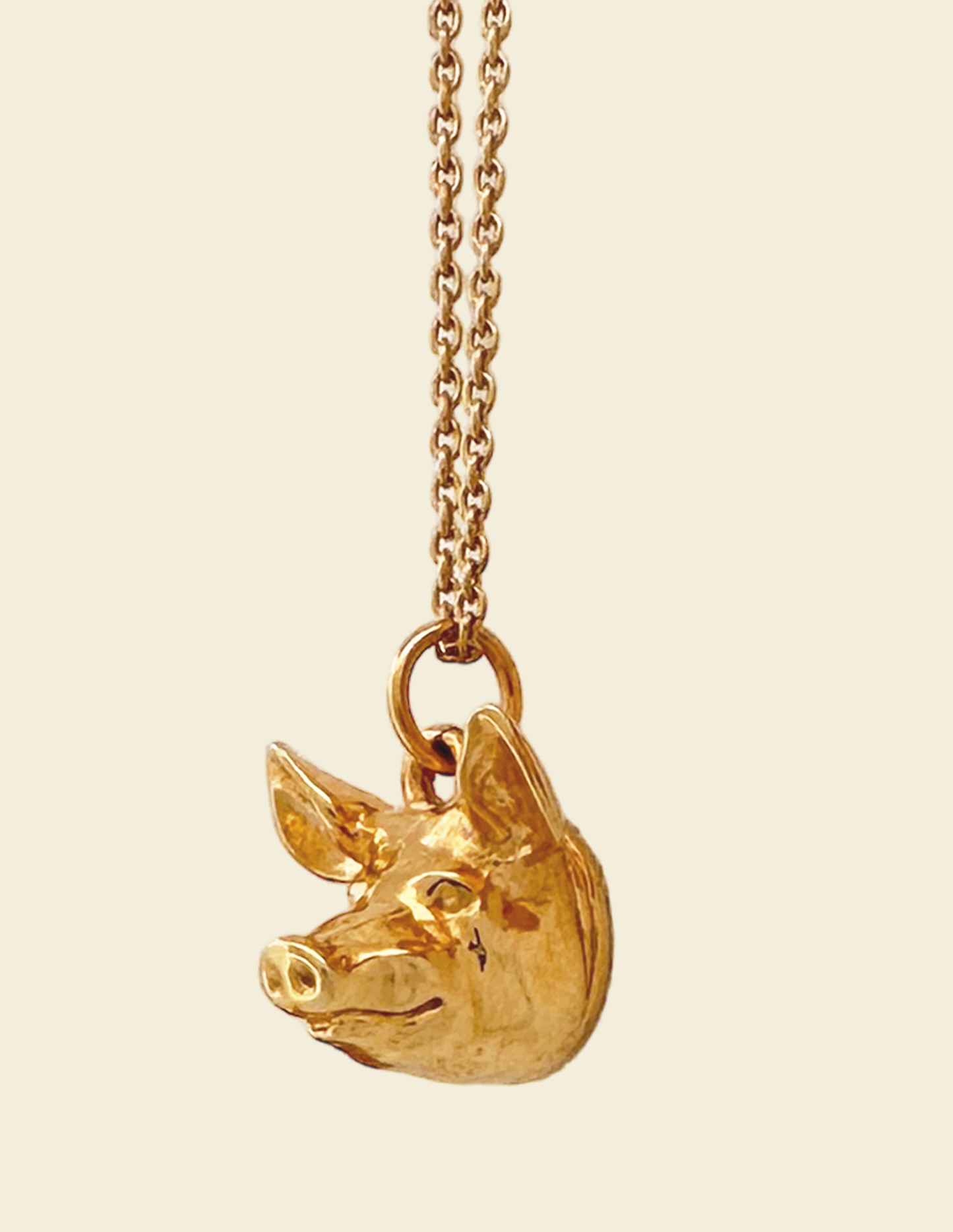 GOLD PIG