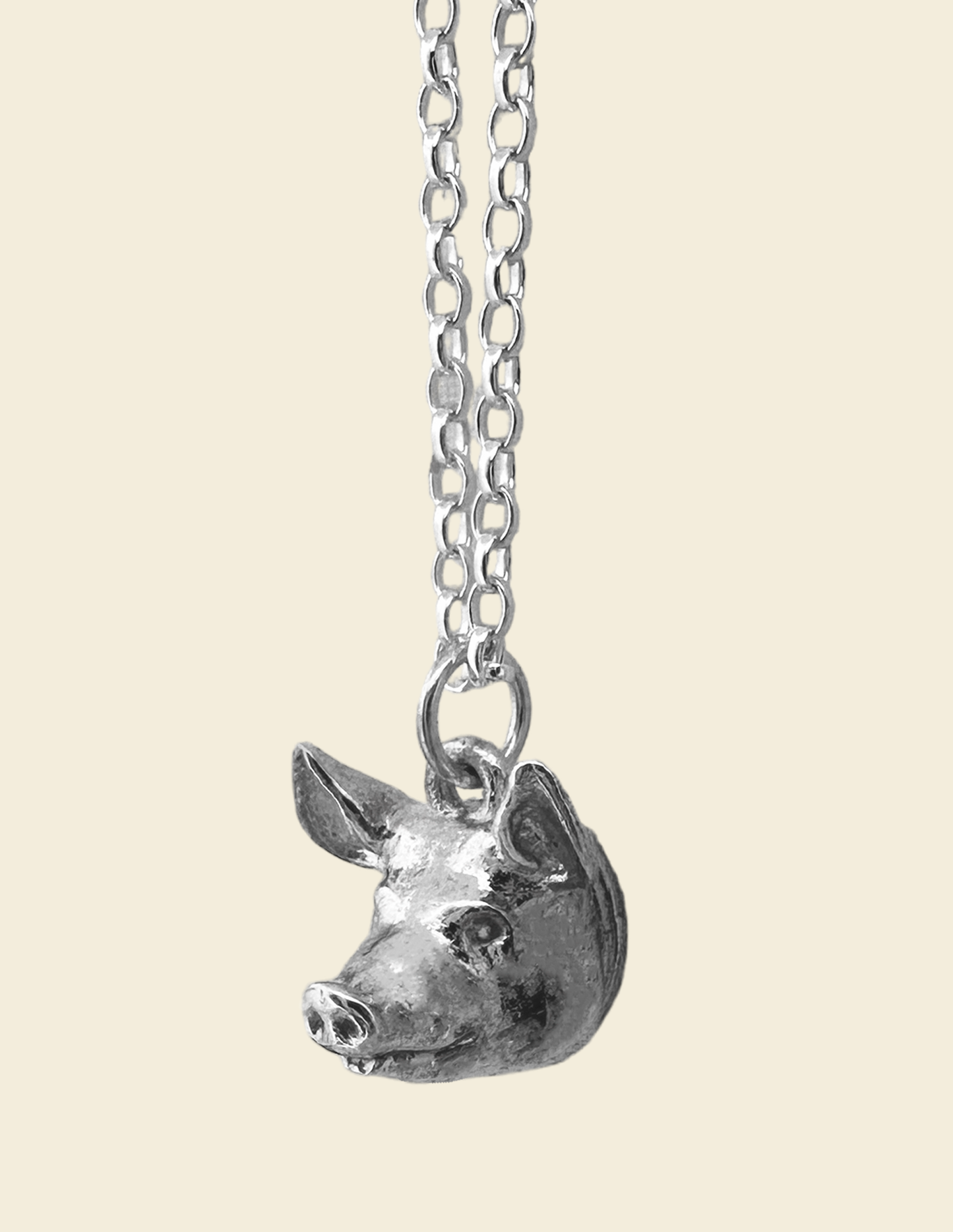 SILVER PIG